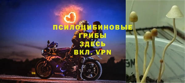 мяу мяу мука Нефтекумск