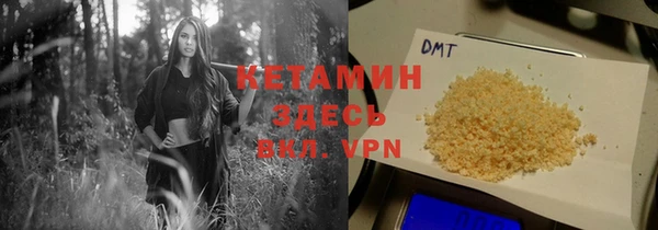 шишки Новодвинск
