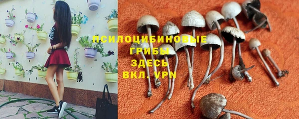 мяу мяу мука Нефтекумск