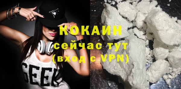 прущие крисы Новозыбков