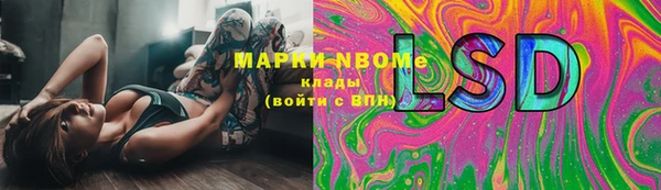 шишки Новодвинск