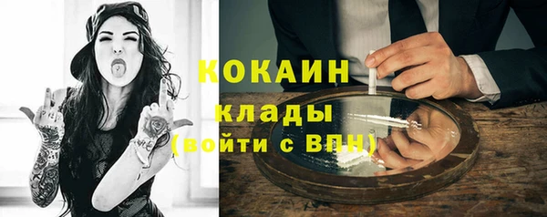 шишки Новодвинск