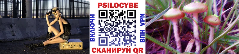 кракен ONION  Черногорск  Галлюциногенные грибы прущие грибы 