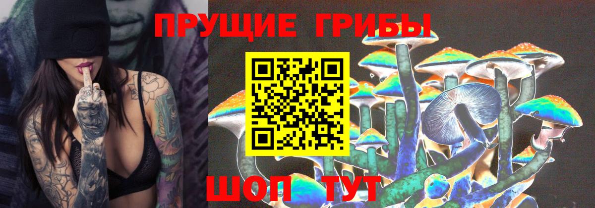 Черногорск  Псилоцибиновые грибы Magic Shrooms  Вход с VPN 